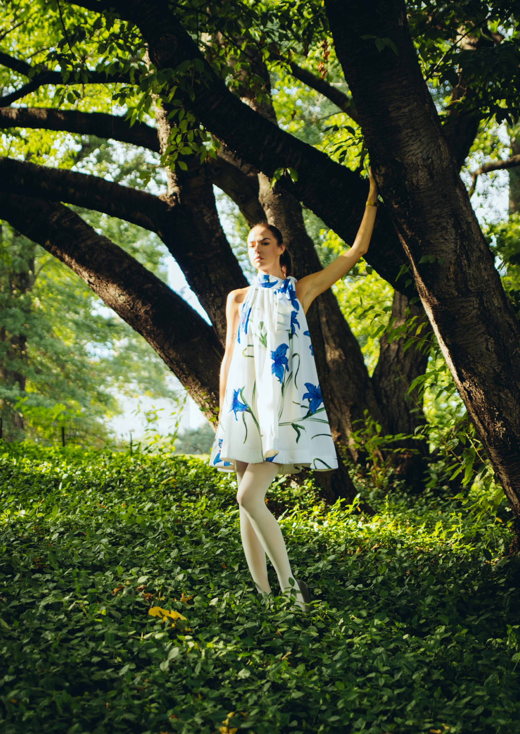 Sapphire Grace Dress