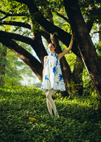 Sapphire Grace Dress