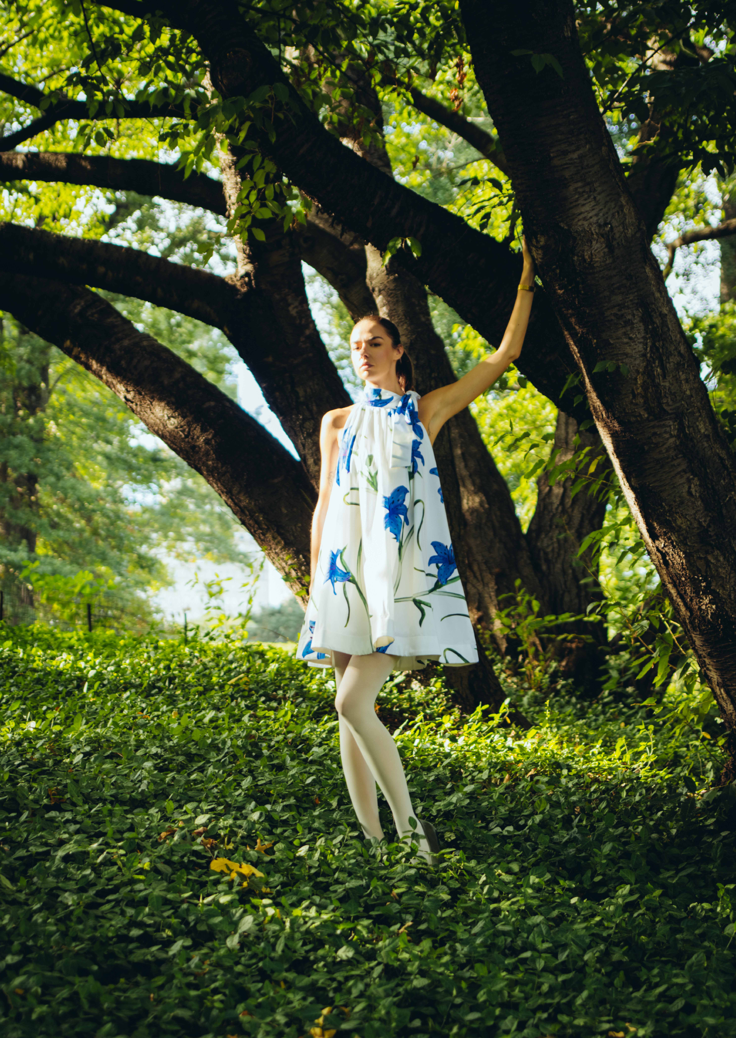 Sapphire Grace Dress